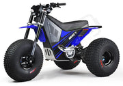 MINI RCR T3 - Blue with Blue Fenders - Lithium Powersports