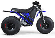 MINI RCR T3 - Blue with Blue Fenders - Lithium Powersports