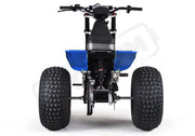 MINI RCR T3 - Blue with Blue Fenders - Lithium Powersports