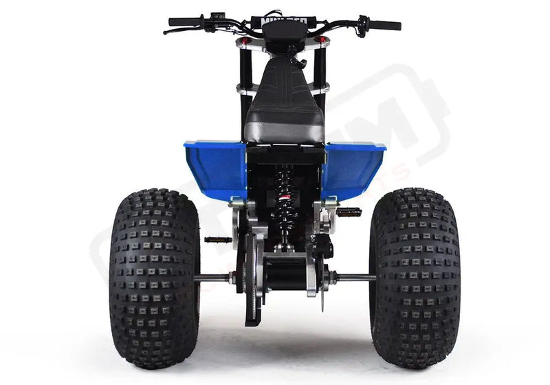 MINI RCR T3 - Blue with Blue Fenders - Lithium Powersports