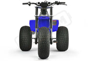 MINI RCR T3 - Blue with Blue Fenders - Lithium Powersports