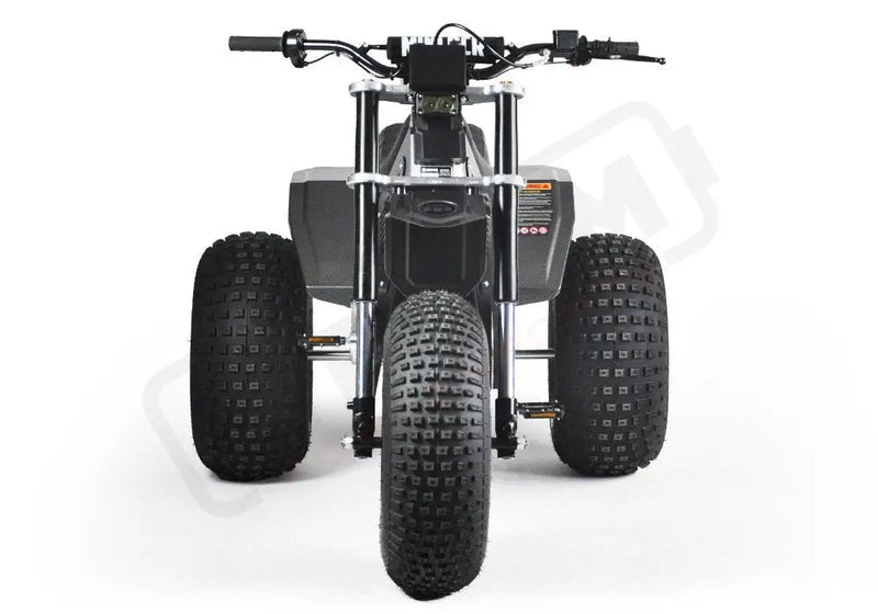 MINI RCR T3 - Red with Black Carbon Fenders - Lithium Powersports