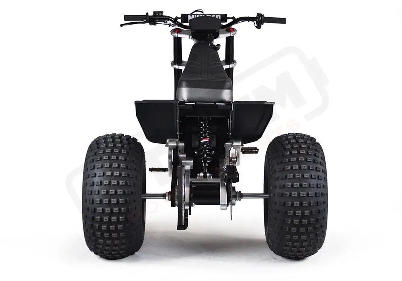 MINI RCR T3 - Red with Black Carbon Fenders - Lithium Powersports