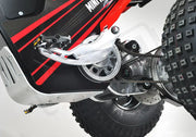 MINI RCR T3 - Red with Black Carbon Fenders - Lithium Powersports