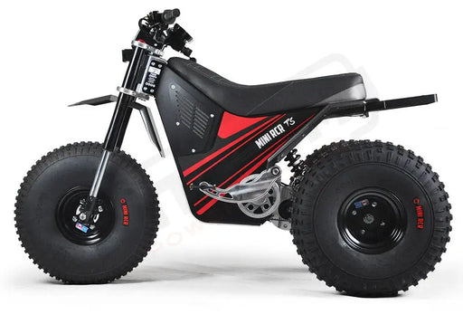 MINI RCR T3 - Red with Black Carbon Fenders - Lithium Powersports