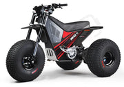 MINI RCR T3 - Red with Black Carbon Fenders - Lithium Powersports