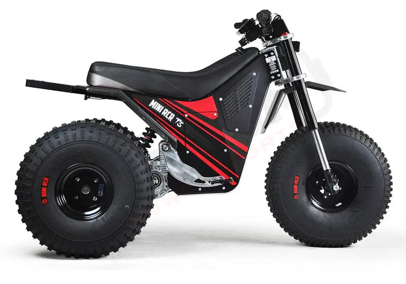 MINI RCR T3 - Red with Black Carbon Fenders - Lithium Powersports