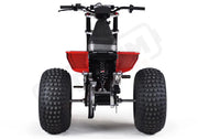MINI RCR T3 - Red with Red Fenders - Lithium Powersports