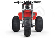 MINI RCR T3 - Red with Red Fenders - Lithium Powersports