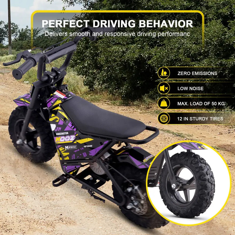 MotoTec 24v 250w (HP120E) Electric Powered Mini Bike eRides
