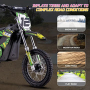 MotoTec 36v 1000w Electric Dirt Bike