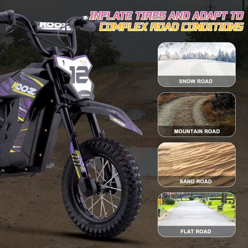 MotoTec 36v 300w Electric Dirt Bike