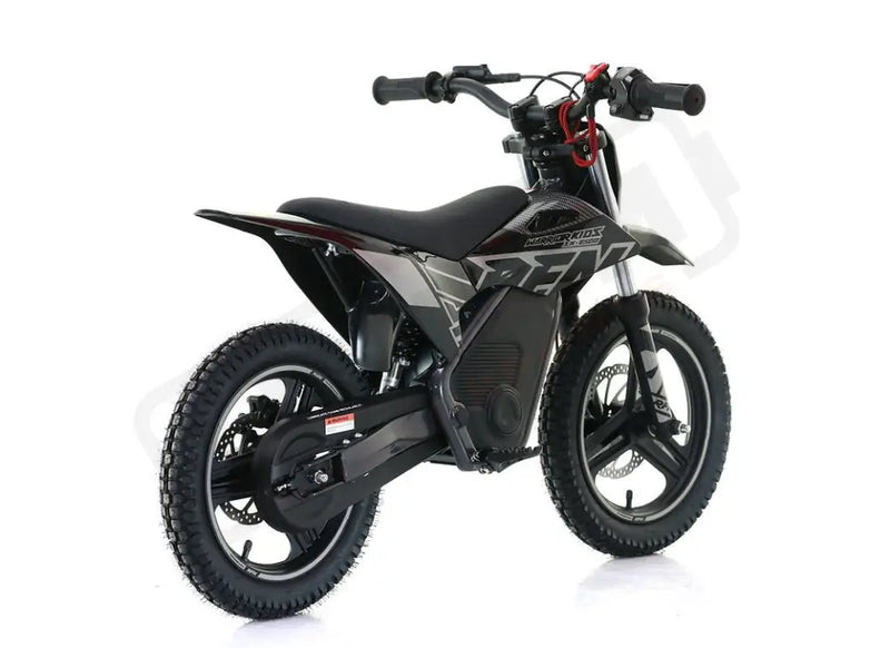 RFN Warrior Kids SX - E500 Electric Bike - Lithium Powersports