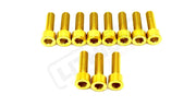 RST Fork Titanium Bolt Kit - Gold - Titanium Bolts
