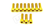 RST Fork Titanium Bolt Kit - Gold - Titanium Hardware