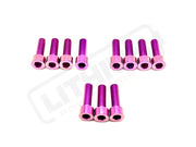 RST Fork Titanium Bolt Kit - Purple - Titanium Bolts