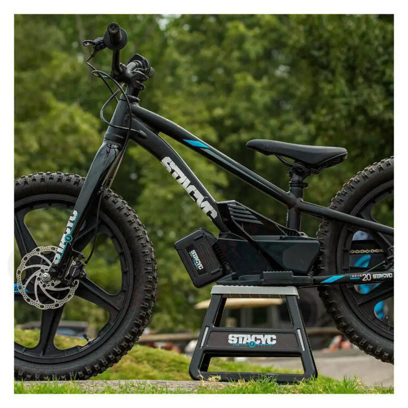 stacyc electric bicycle Stacyc 20" eDrive Rigid Kids Electric Bike