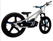 Stacyc 20" eDrive Team Edition Kids Electric Bike - Lithium Powersports