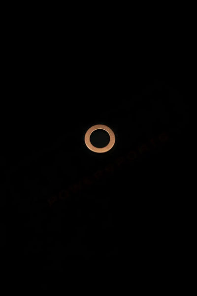 Stark Varg OEM Gear oil drain plug washer