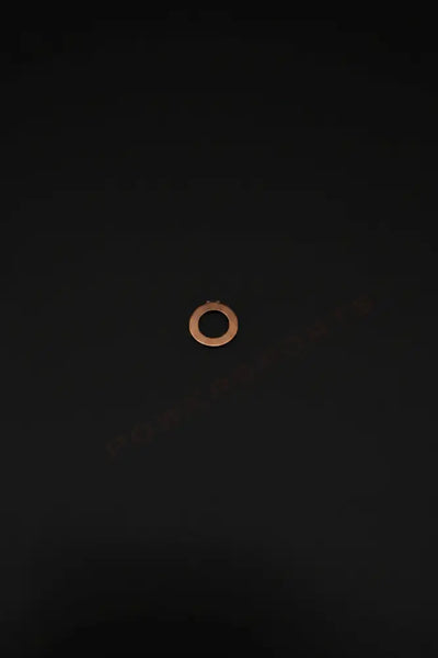 Stark Varg OEM Gear oil level bolt washer