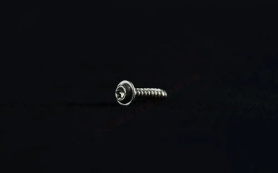 Stark Varg OEM Homologation license plate holder bolt (1 unit)