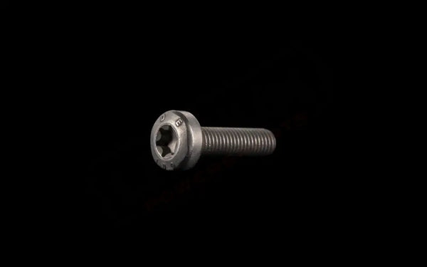 Stark Varg OEM Side plate top bolt