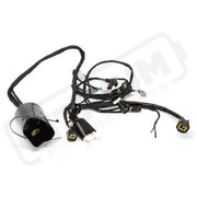 Surron Light Bee OEM Wiring Harness Main Cable Harness (Double Connector) - Lithium Powersports