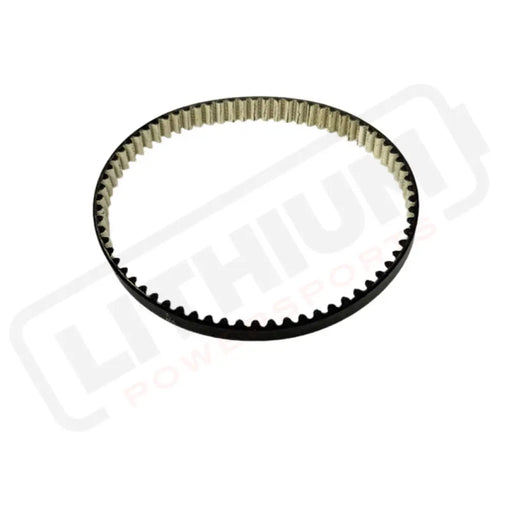 Light Bee Primary Belt (Dayco 2025)