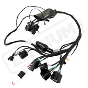 Light Bee Wiring Harness (2025 Only)
