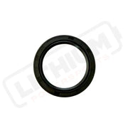 Storm Bee Swingarm Seal