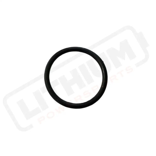 Storm Bee Swingarm O-Ring