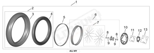 Surron Ultra Bee 100/80-17 SUPERMOTO FRONT WHEEL ASSY. OEM parts diagram