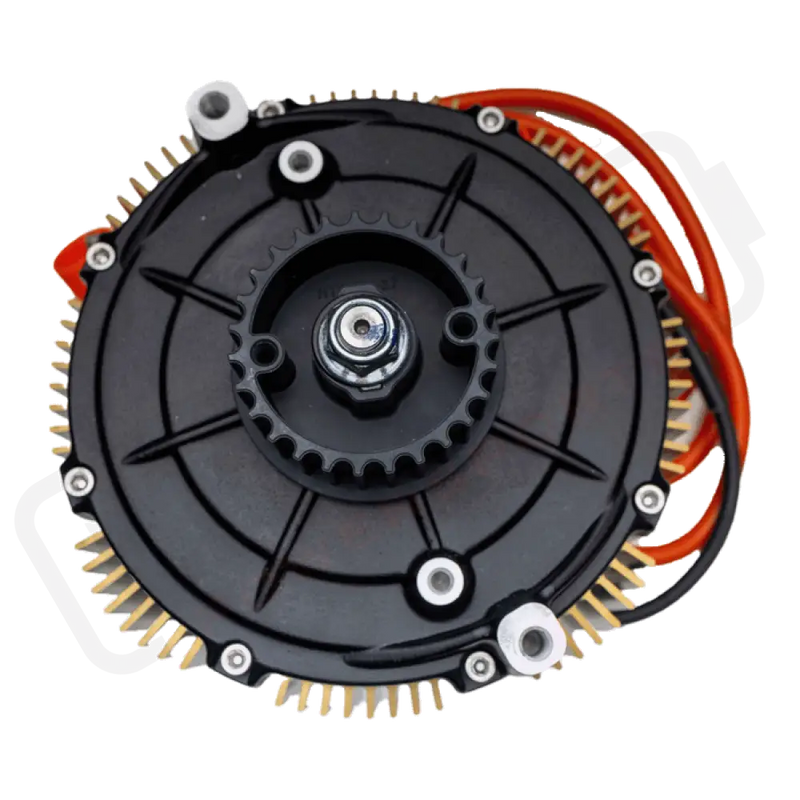 Ultra Bee Motor Assembly (2023-2024)