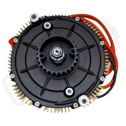 Ultra Bee Motor Assembly (2023-2024)