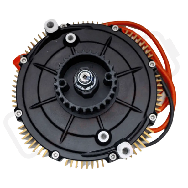 Ultra Bee Motor Assembly (2023-2024)