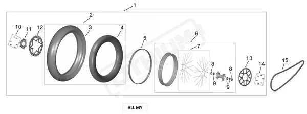 Surron Ultra Bee 130 70 17 SUPERMOTO REAR WHEEL ASSY parts diagram