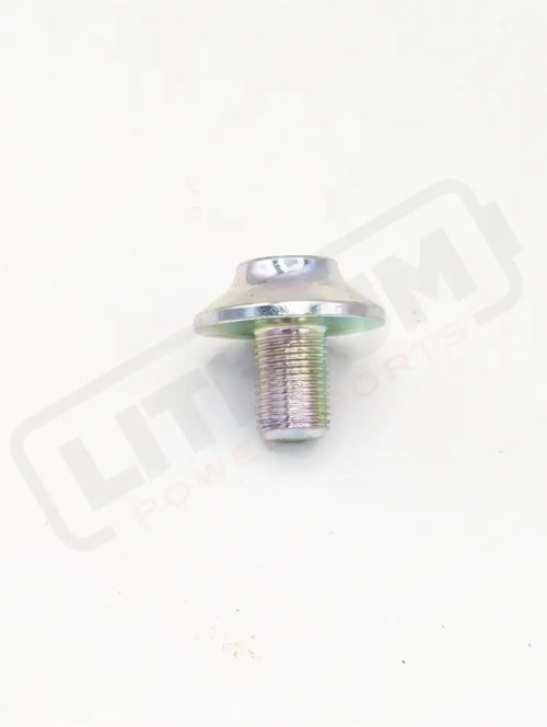 Surron Ultra Bee OEM Swingarm Pivot Shaft Bolt - Lithium Powersports