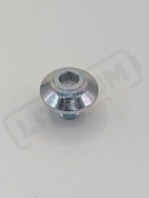 Surron Ultra Bee OEM Swingarm Pivot Shaft Bolt - Lithium Powersports