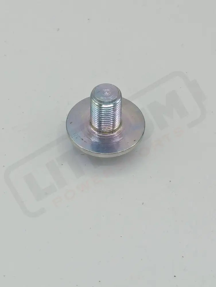 Surron Ultra Bee OEM Swingarm Pivot Shaft Bolt - Lithium Powersports