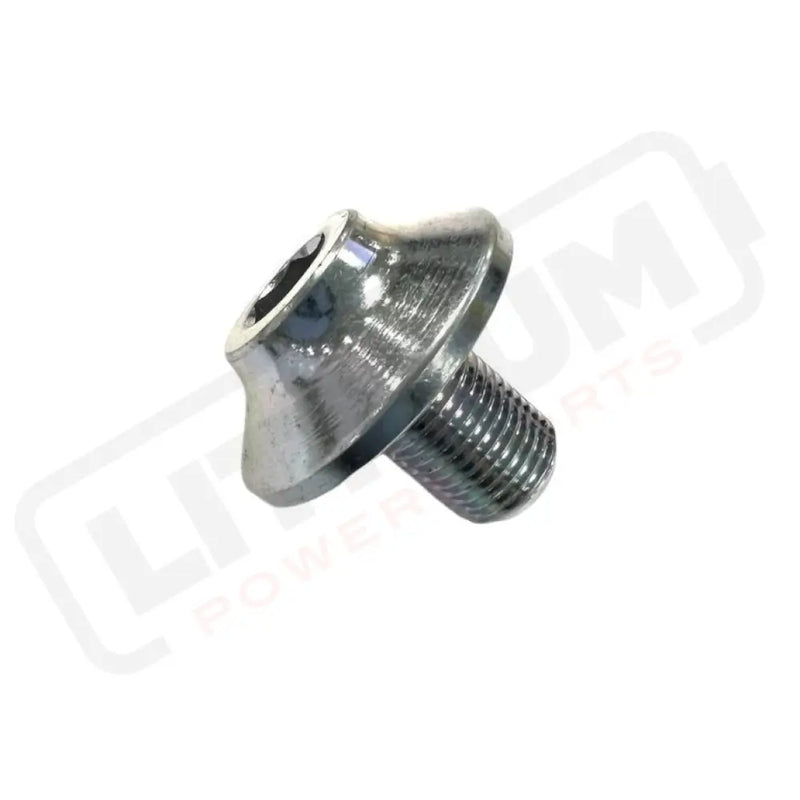 Ultra Bee Swingarm Shaft Bolt