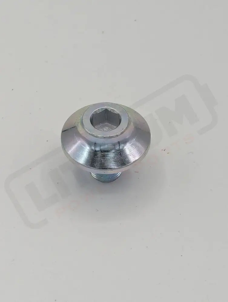 Surron Ultra Bee OEM Swingarm Pivot Shaft Bolt - Lithium Powersports