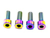 Titanium Surron Talaria XXX Seat Subframe or Foot Peg Titanium Bolts (4) Rainbow / Seat Subframe XXX Seat Subframe