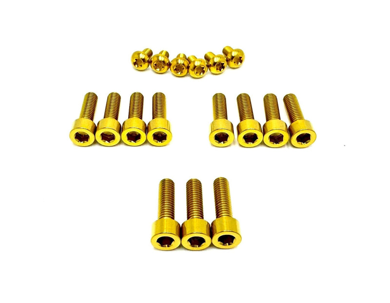 TS Titanium Altis Sigma Front Fork Bolt Kit