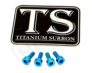 Titanium Baja Designs Headlight Cover Plate Bolts (4) - Titanium Bolts