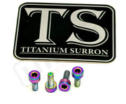 Titanium Baja Designs Headlight Cover Plate Bolts (4) - Rainbow / 1. Baja S2 - Most light e-moto - Titanium Bolts