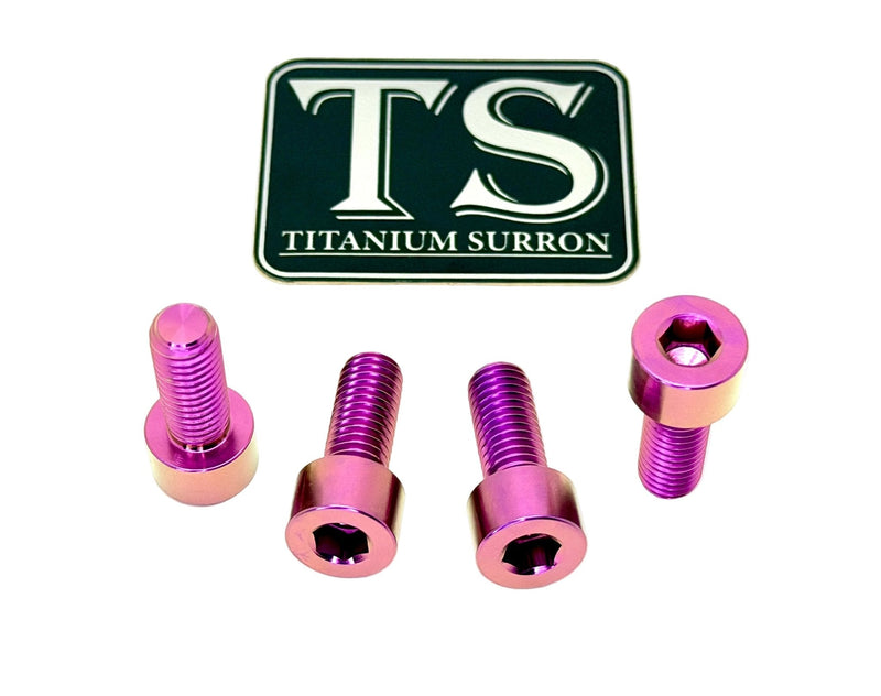 Titanium Bash Guard/ Skid Plate Bolts - EMoto