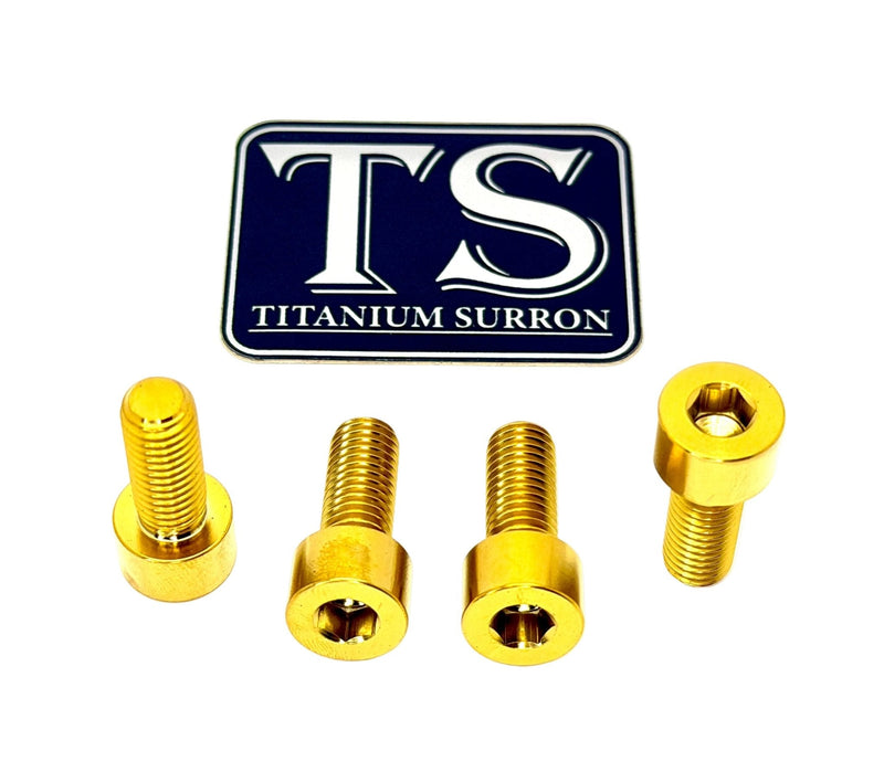 Titanium Bash Guard/ Skid Plate Bolts - EMoto