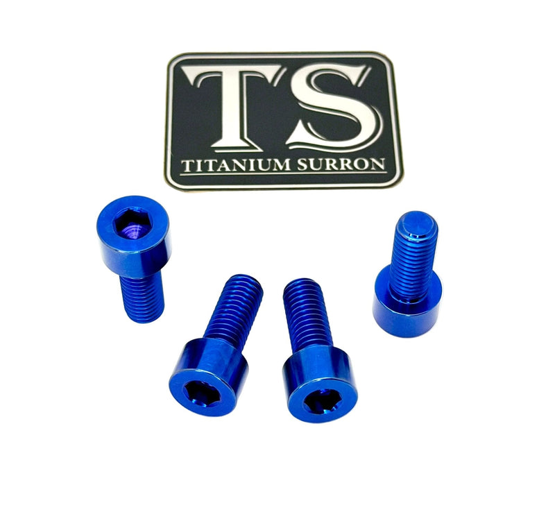 Titanium Bash Guard/ Skid Plate Bolts - EMoto