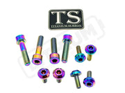 Titanium Bash Guard/ Skid Plate Bolts - EMoto - Rainbow / Surron Ultra Bee (10 pcs) - Hardware