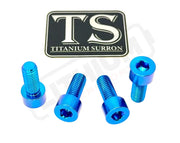 Titanium Bash Guard/ Skid Plate Bolts - EMoto - Teal / Surron LBX/ Segway (4 pcs) - Hardware
